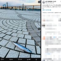 銚子市観光協会公式Xの投稿