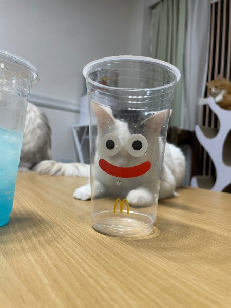 「猫スライム」があらわれた!マクドナルド×ドラクエのカップを使った顔ハメがかわいすぎる