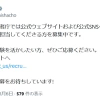 消費者庁が「中の人」を募集 SNSやWeb運用を担う政策調査員
