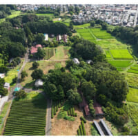 「新しき村」全景画像:(C)小輪瀬光夫