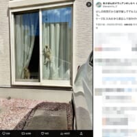 あさぽんさんの投稿