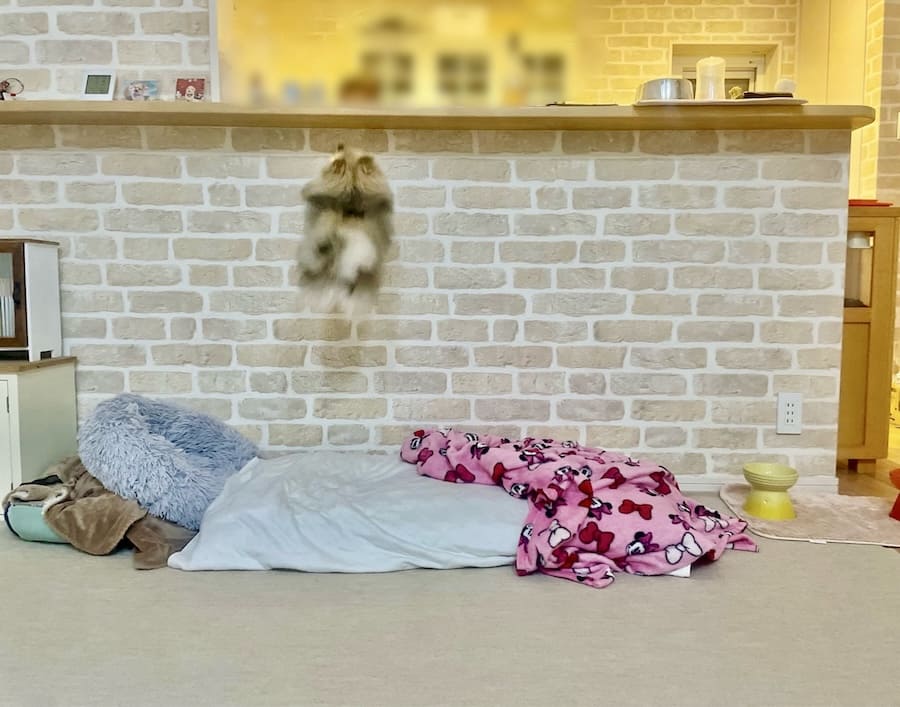 普段からアクロバティック