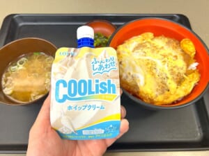 かつ丼にクーリッシュをかけて召し上がれ!富士そばの期間限定メニューが想像以上だった