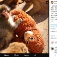 市川市動植物園の投稿