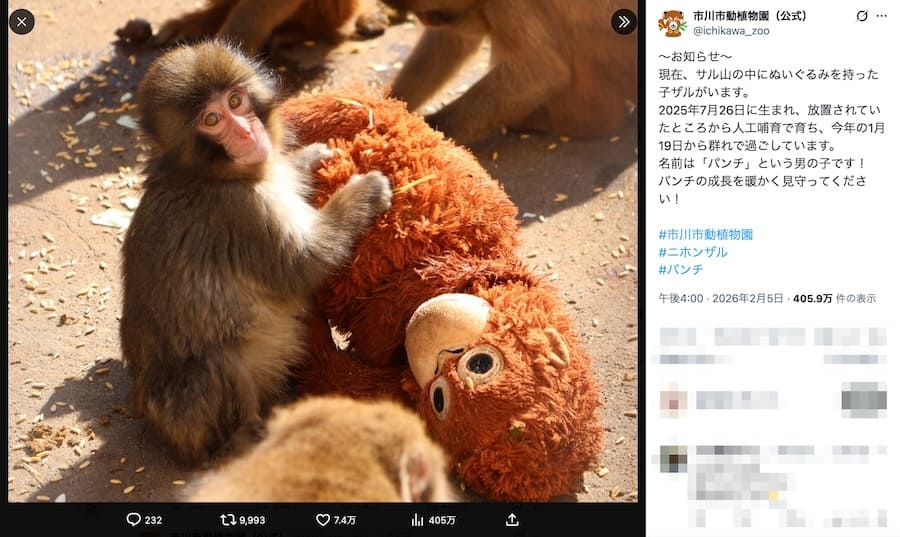 市川市動植物園の投稿