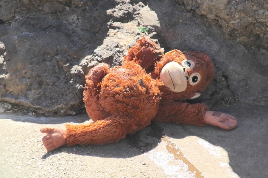 置いてきぼりにされたぬいぐるみ