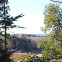 海渡神社裏手からの眺望