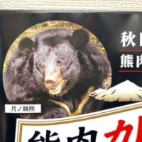 熊の顔
