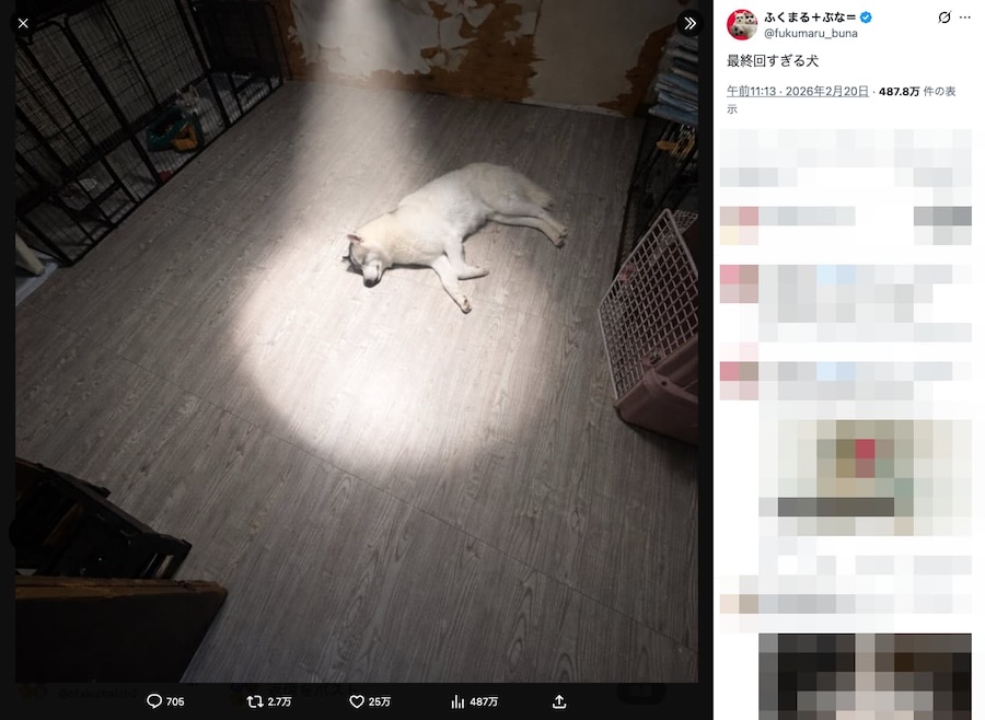 最終回すぎる福丸くん