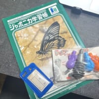 名札やジャポニカ学習帳