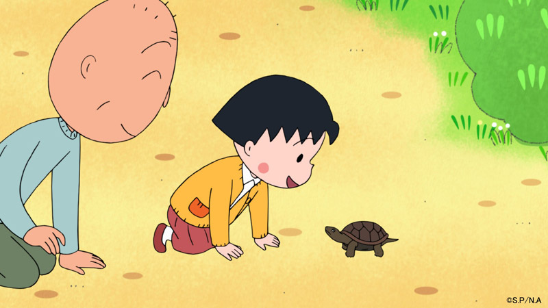 まる子と迷子のカメ