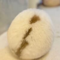 思わず包みたくなる球体フォルム うさぎのまんまる後ろ姿に注目集まる