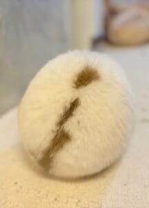 思わず包みたくなる球体フォルム うさぎのまんまる後ろ姿に注目集まる
