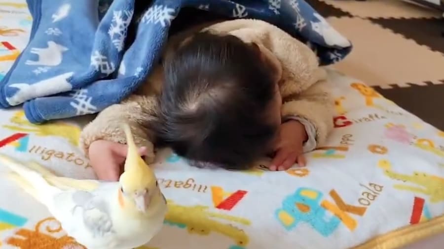 起きそうになると退散