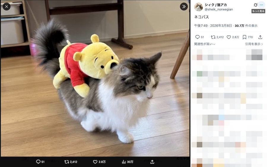 飼い主さんの投稿