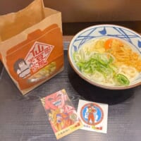 うどんと仙豆風天ぷら