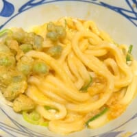 うどんにトッピング