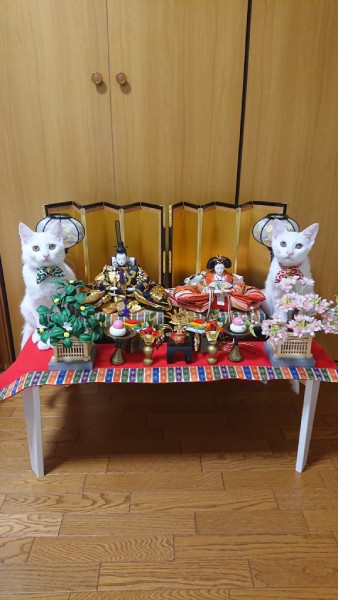 例年のひな祭りの様子