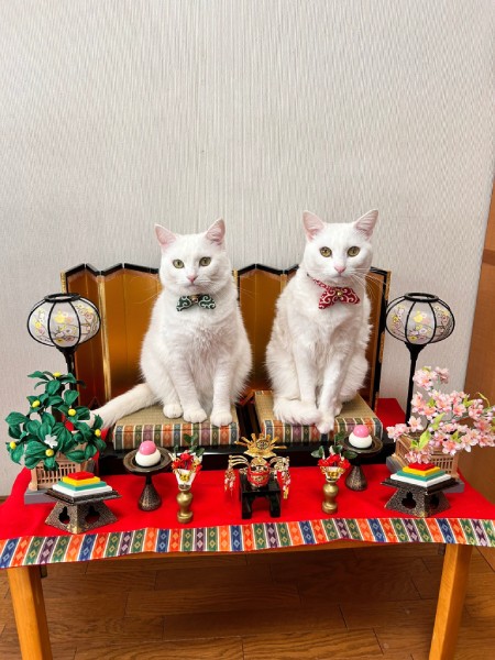 例年のひな祭りの様子