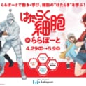 愛知県、静岡県のららぽーと4施設で「はたらく細胞 in ららぽーと」開催