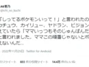「この順番じゃないとポケモン言えない」懐かしの歌の引用に共感の声
