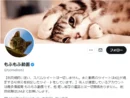 「もふもふ動画」はただの無断転載アカウントではない？その正体に迫る