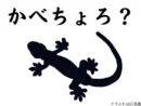 「かべちょろ」って知ってますか？