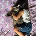 抱き枕と勘違いされた猫　驚きの表情がかわいすぎる