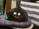 スライムかと思ったら猫だった　擬態の完成度が高すぎる
