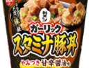 メガ“豚”級のウマさ　日清「ガーリックスタミナ豚丼」全国発売