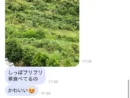 母の視力がスナイパー級　ネット騒然の「茂みの鹿探し」写真