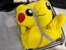 スーツケースに押し込まれた特大ピカチュウぬいぐるみ　かわいそうだけどかわいい？