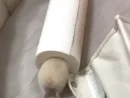 見ているだけで健康になれる