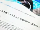 鳥羽水族館、ラッコ配信で“飼育係モザイク化”　カスハラ対策で映像方法変更