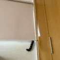 行方不明だった猫、まさかの場所で発見　ロールカーテンから垂れたしっぽが決め手に