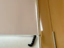 行方不明だった猫、まさかの場所で発見　ロールカーテンから垂れたしっぽが決め手に