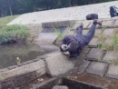 美少女プラモ写真の撮影裏側が話題　腹ばいで撮る「ご機嫌な人」に10万いいね