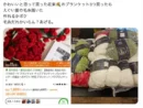 越境ECでブランケット買ったら“毛糸の山”届いた　怒りのXユーザー「だるいけど編んだるわボケ」