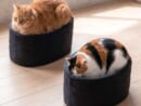 愛猫がお寿司に？軍艦巻き風ベッドに反響　商品化にも期待