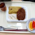 自衛隊の新型戦闘糧食I型
